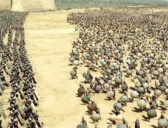 特洛伊战争简介 特洛伊战争木马计