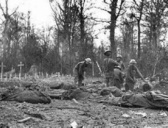 阿尔贡战役的奇迹