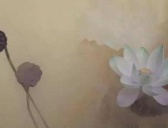 真的有来世、善恶业报等事吗