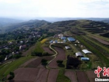 甘肃马家塬战国墓地考古发掘取得重要成果