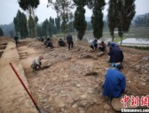 四川新发现四座汉晋城址