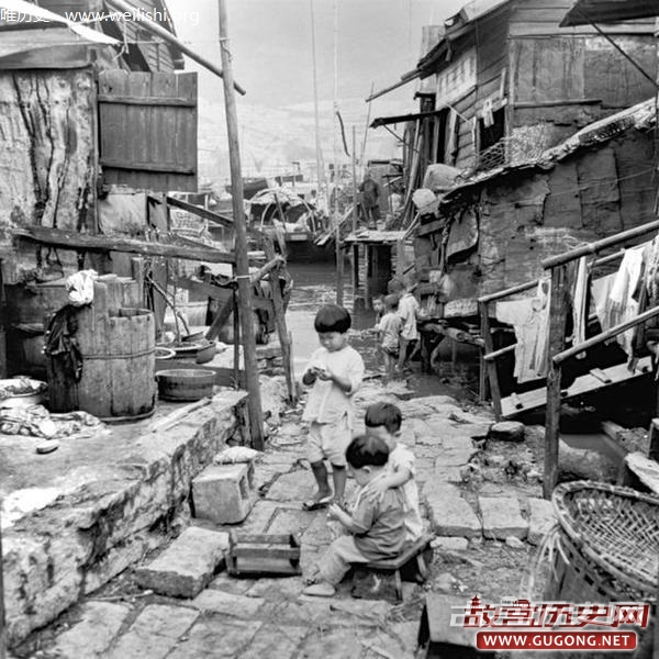 香江老照片：繁华背后的香江渔家 1952年