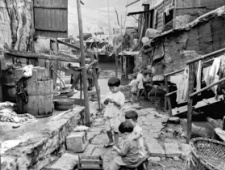 香江老照片：繁华背后的香江渔家 1952年