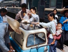 老照片：法国摄影大师镜头下的中国 1973年