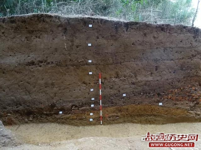湖南岳州窑考古工作新进展