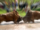 侗家斗牛节的来历