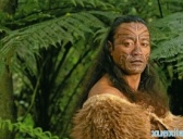 毛利人起义历史