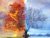 春夏秋冬的传说