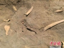 新疆吉木萨尔县北庭故城遗址考古发掘发现唐代文物