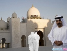 阿拉伯半岛的宗教信仰