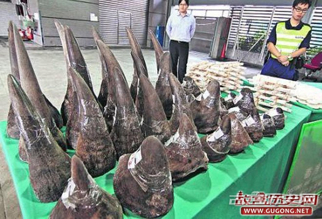 图：2011年，香港海关查获走私的33支犀牛角以及758支象牙筷子和127双象牙手镯