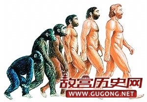 人类的起源与进化