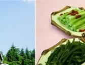 四小碟压桌菜本是满族饮食习俗 与努尔哈赤有关