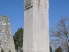 奇怪的姓氏：蝮虺蠎枭