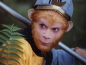 孙悟空七十二变到底会变啥