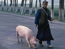 80年代老照片：1980后经历过的那些场景令人怀念