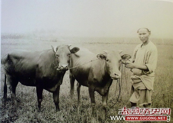 清朝老照片：晚清农村地里的农家活