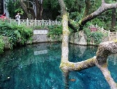 云南蝴蝶泉的传说