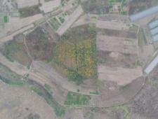 考古数字化记录系统支持下的肥东刘小郢遗址发掘