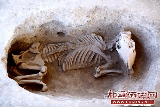 考古表明：曾有多个人群先后在拉哈特遗址区域生活过