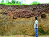 湖南资水流域陶瓷考古取得重要突破——衡宝古道邵水段发现宋代大规模区域性中心窑场