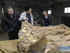 河北行唐故郡东周时期“豪车”展露真容