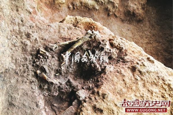 华南新旧石器过渡阶段考古取得重大新突破——广东省英德市青塘遗址发掘与收获