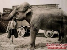 外国百年前的娱乐活动老照片