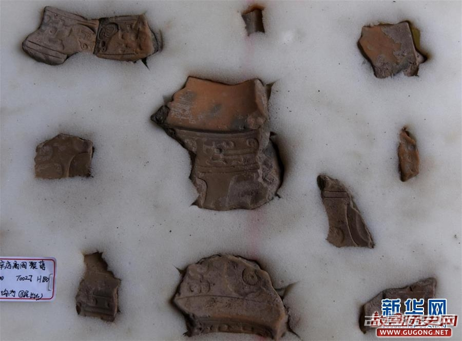 河南安阳辛店遗址出土一批商代晚期青铜礼器