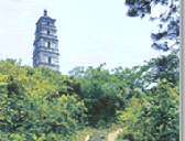 公元1262年历史年表 公元1262年历史大事 公元1262年大事记