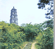 公元1262年历史年表 公元1262年历史大事 公元1262年大事记