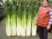 公元1522年历史年表 公元1522年历史大事 公元1522年大事记