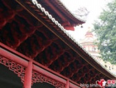 公元1510年历史年表 公元1510年历史大事 公元1510年大事记