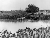公元1882年历史年表 公元1882年历史大事 公元1882年大事记