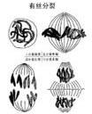 公元1879年历史年表 公元1879年历史大事 公元1879年大事记