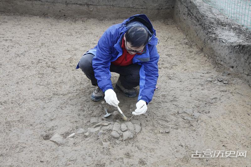 嘉陵江下游发现距今5000年前新石器时代遗址——合川吊嘴遗址考古重要收获