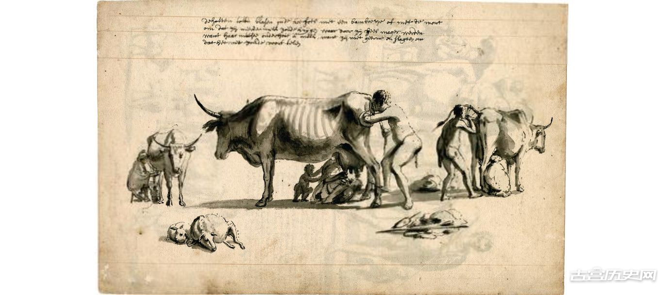 470：十八世纪初期荷兰东印度公司船员绘制的素描图，上面全是神秘生物