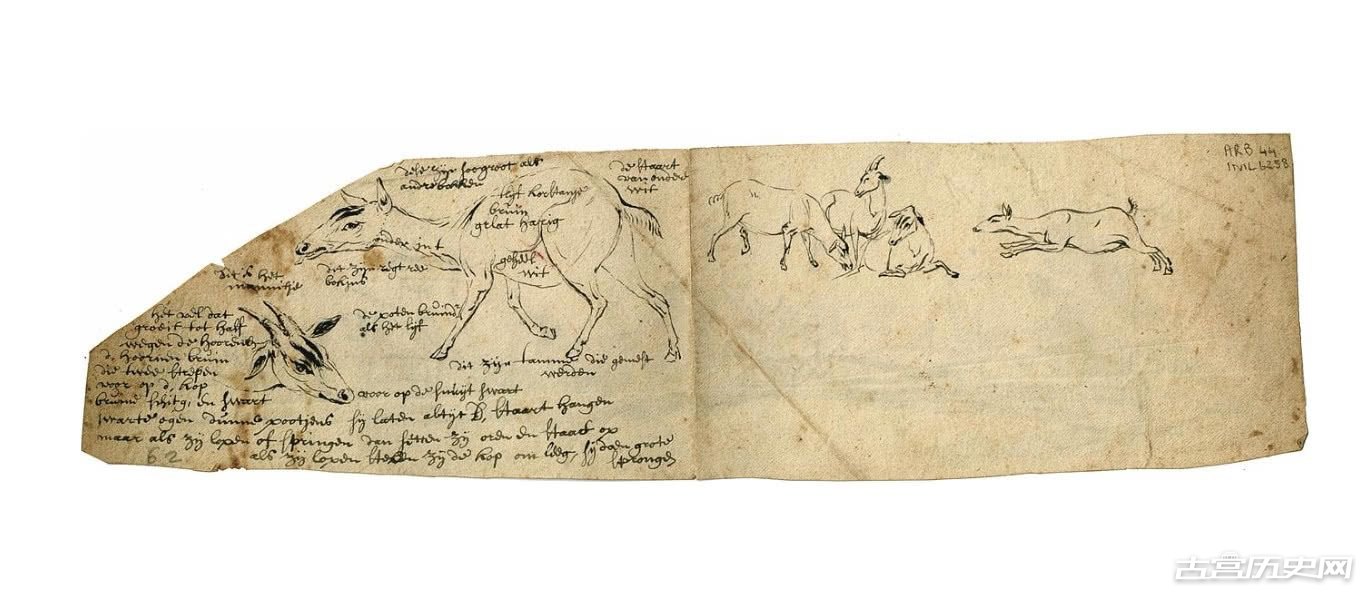 470：十八世纪初期荷兰东印度公司船员绘制的素描图，上面全是神秘生物