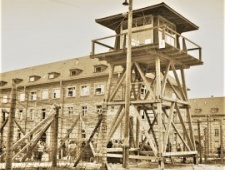 二战时期纳粹集中营老照片:铁栏之内俨然是地狱