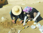 伊犁河流域史前文化序列获有力支撑