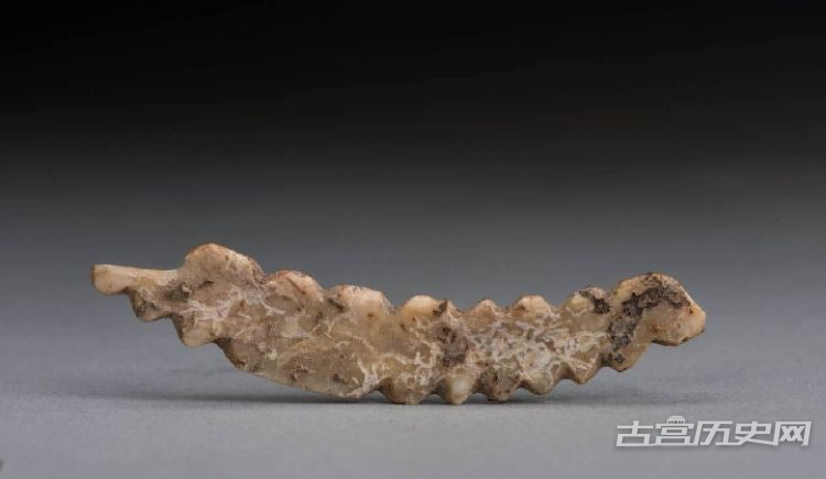 河南巩义双槐树遗址出土五千年前牙雕蚕 见证丝绸之源