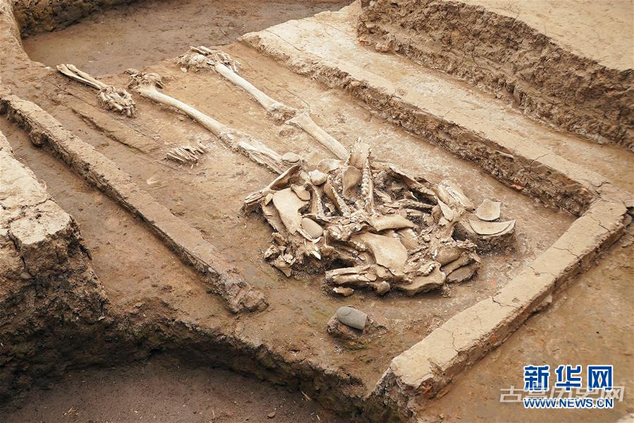 河南南阳发现5000年前玉石器制作中心聚落和疑似氏族首领墓葬