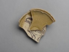 新确认一类长沙窑高温釉上彩绘瓷