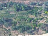 云南武定春秋战国遗址 发现铜戈鱼钩石范