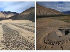 大麻吸食行为的起源：来自2500年前帕米尔高原上的化学证据