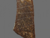 “许昌人”遗址发现已知最古老的人工刻划图案