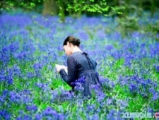 英国浪漫主义文学