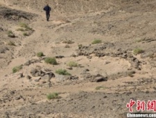 内蒙古阿拉善多处文物遗址取得重大发现