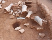 浙江宁波北仑发现汉代陶瓷合烧窑址