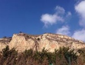 金末地主武装首领武仙简介 武仙是怎么死的？